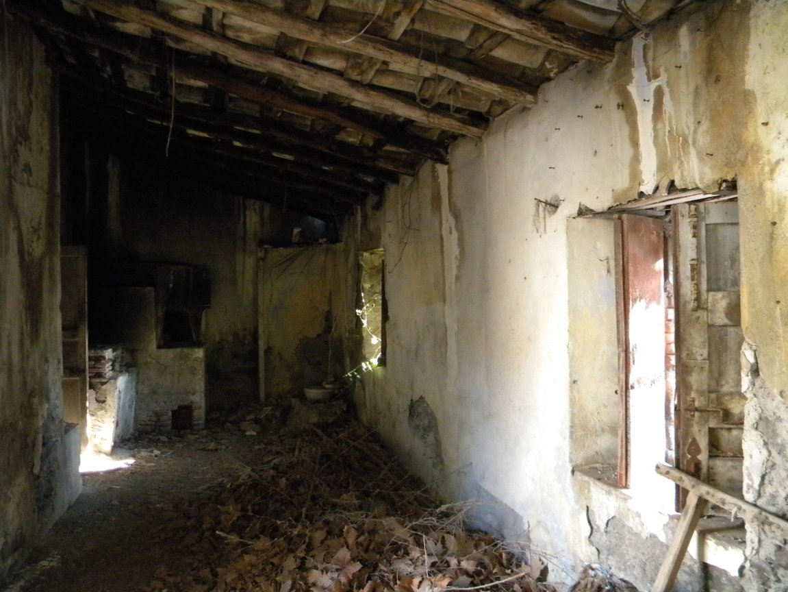 DSCN7998 .JPG